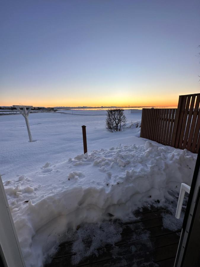 An Elegant Studio Apartment In Reykjavik - Great Location Eksteriør billede